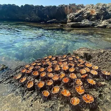 Lido San Giovanni Gallipoli
