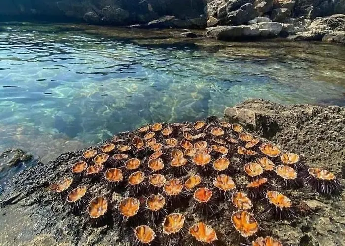 Lido San Giovanni Gallipoli